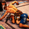 matt hughes royce gracie ufc 60