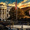 ufc freedom 250 ufc white house