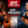 ufc vegas 119