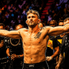 alexander gustafsson